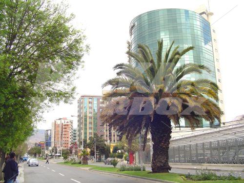 holiday in Suites Camino Real