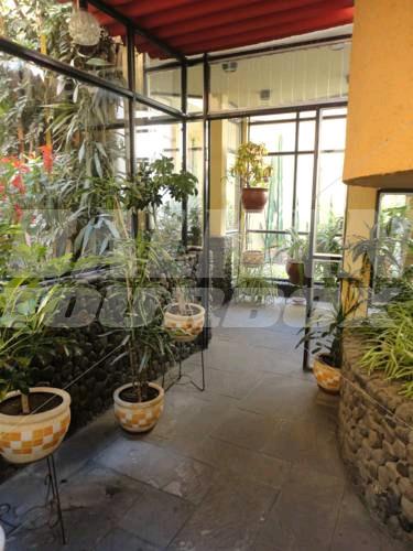 holiday in Arequipa Inn