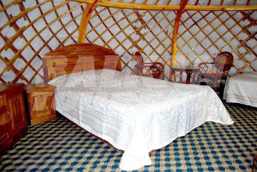 holiday in Continental