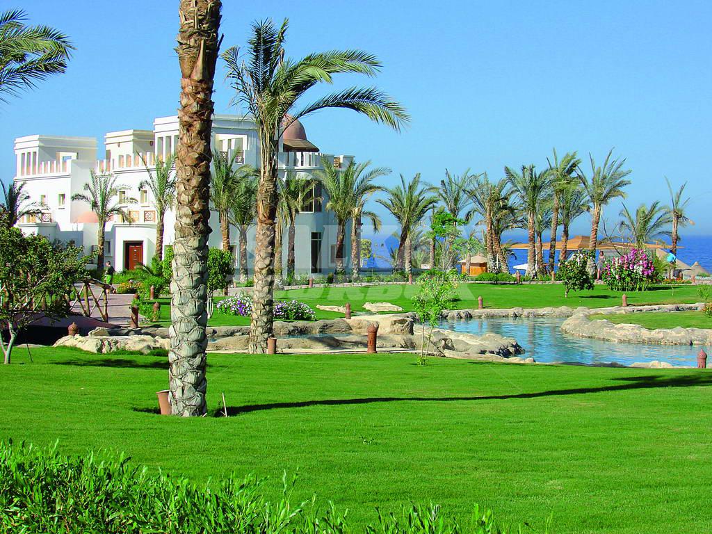 holiday in Serenity Makadi Heights