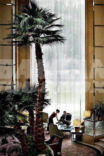 holiday in Crowne Plaza Park View Wuzhou