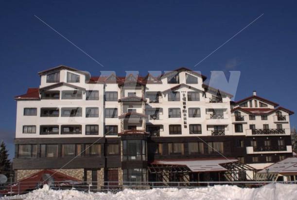 holiday in Snejanka