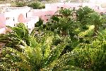 Hotel Roselands Hotel Bungalows, Greece, Kos Island