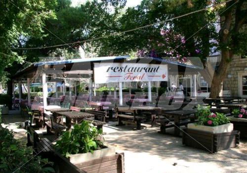 holiday in Supetar Cavtat