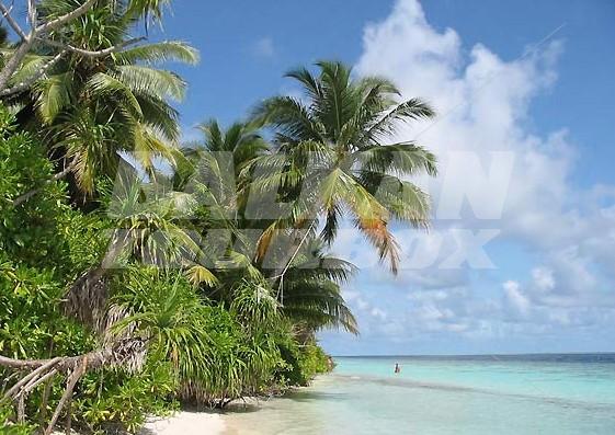 почивка в Vilamendhoo Island Resort