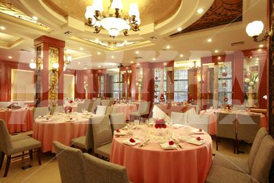 holiday in Metropole
