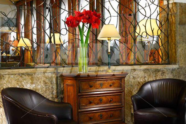holiday in Hotel Commodore