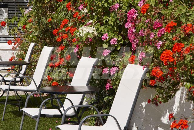holiday in Spetses Retreat