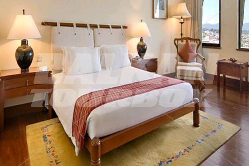 holiday in Hyatt Regency Kathmandu