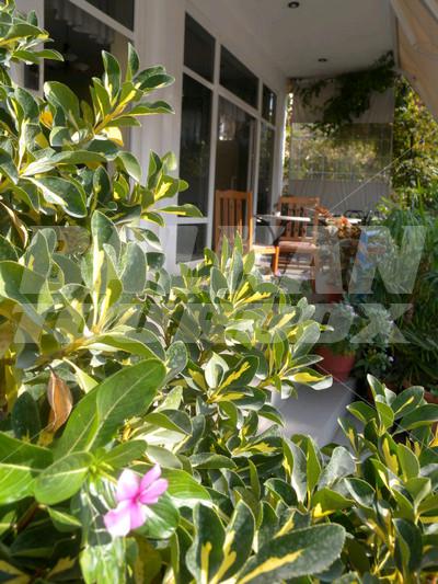 holiday in Aulona