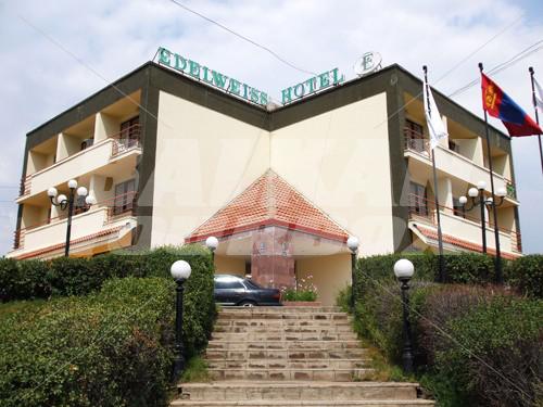 holiday in Edelweiss