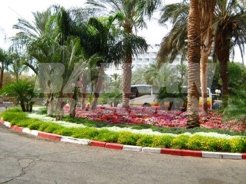 holiday in Prima Music Eilat