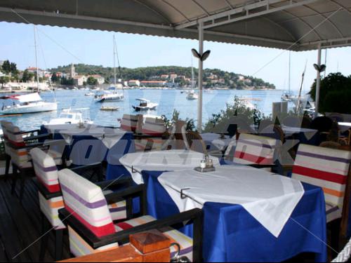 holiday in Delfin