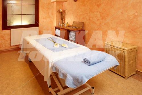 holiday in OREA Hotel Bohemia