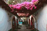 Hotel Majoro, , Nasca