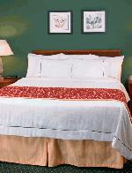 Хотел Residence Inn by Marriott Montgomery, , Монгомъри - Алабама