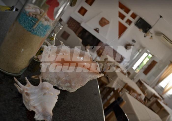holiday in Ostria Studios