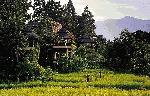 Hotel Four Seasons Resort, Thailand, Chiang Mai