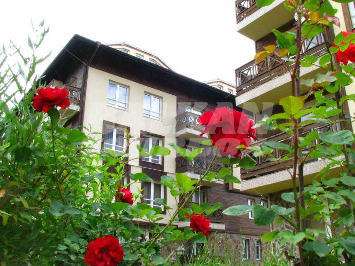 holiday in Complex Bojurland