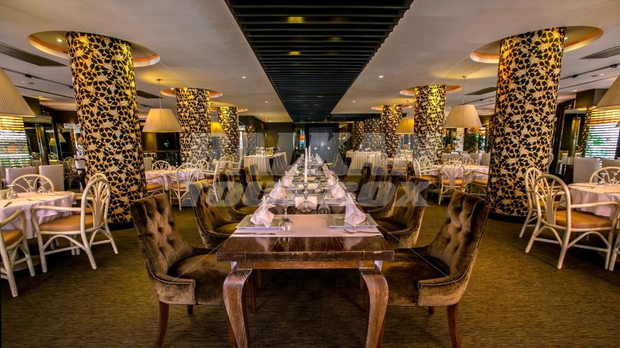 holiday in Elegance International