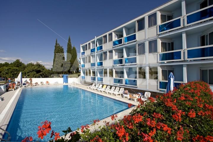 holiday in  Plavi