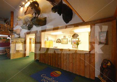 почивка в Comfort Inn Yellowstone North