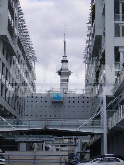 holiday in Hilton Auckland