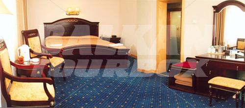 holiday in Palace