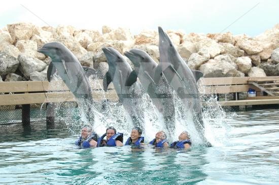 почивка в Occidental Grand Xcaret