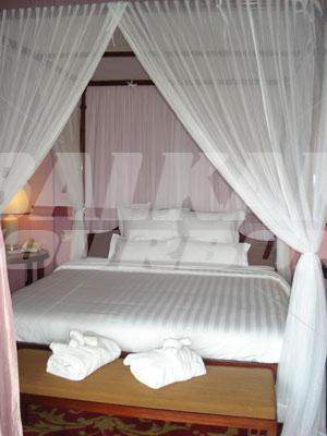 holiday in Villa Maly