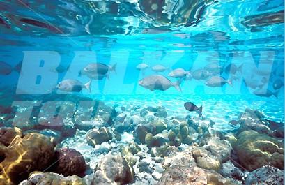 почивка в Banyan Tree Maldives Vabbinfaru
