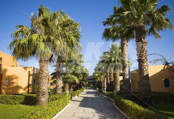 holiday in Caribbean World Hammamet Village