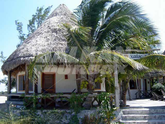 почивка в  Xaloc Resort