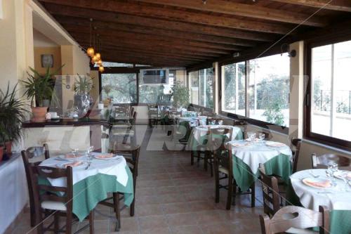 holiday in Alonakia Hotel