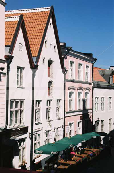holiday in Merchant's House