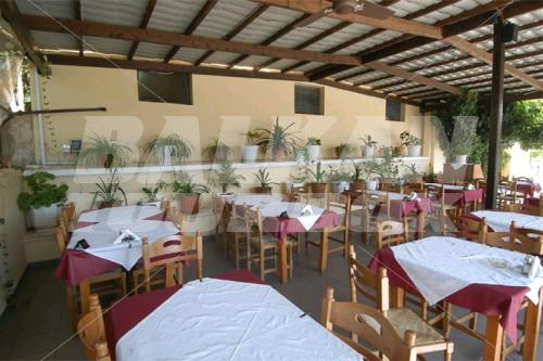 holiday in Karavados Beach