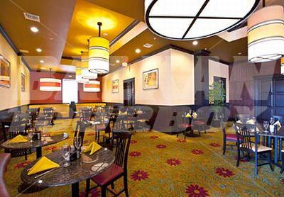 почивка в St. Petersburg Marriott Clearwater