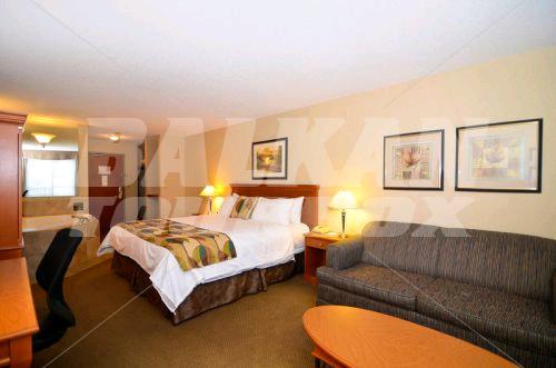 holiday in Best Western Plus Calgary Centre Inn