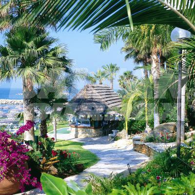 holiday in  Amathus Beach