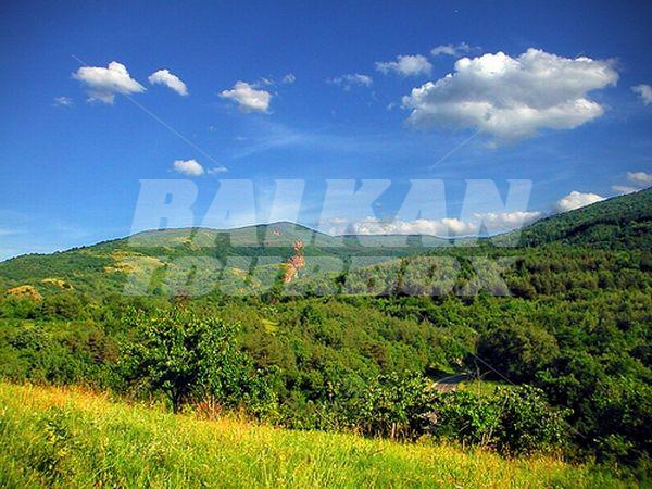 holiday in Wine & SPA hotel Todoroff