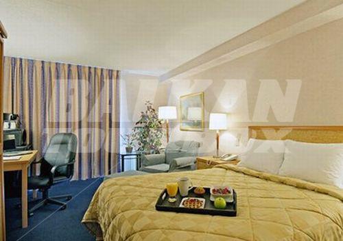 holiday in Comfort Inn