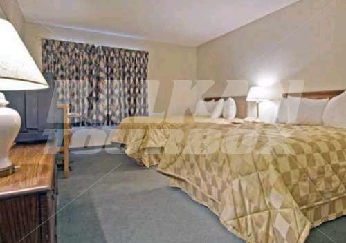 holiday in Comfort Inn