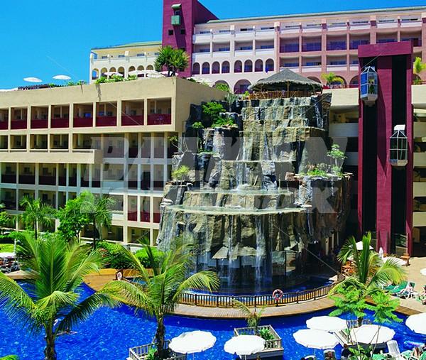 holiday in Jacaranda