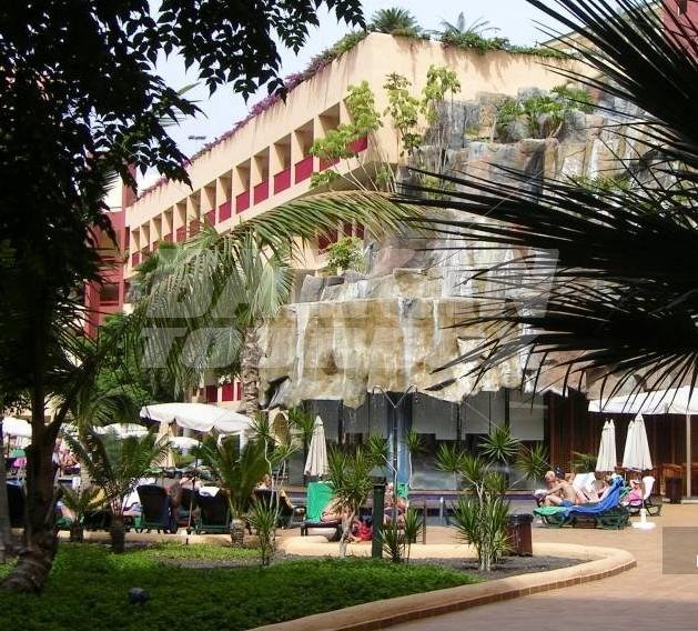 holiday in Jacaranda