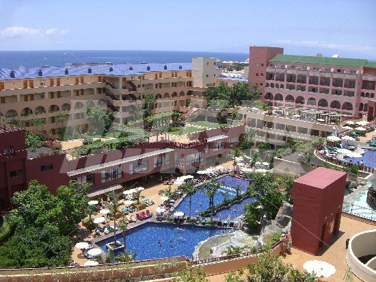 holiday in  Jacaranda