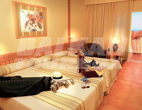 holiday in Jacaranda