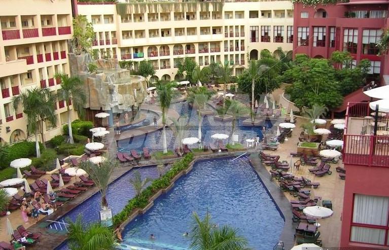 holiday in Jacaranda