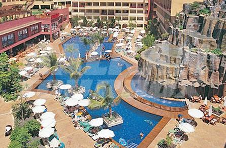 holiday in Jacaranda