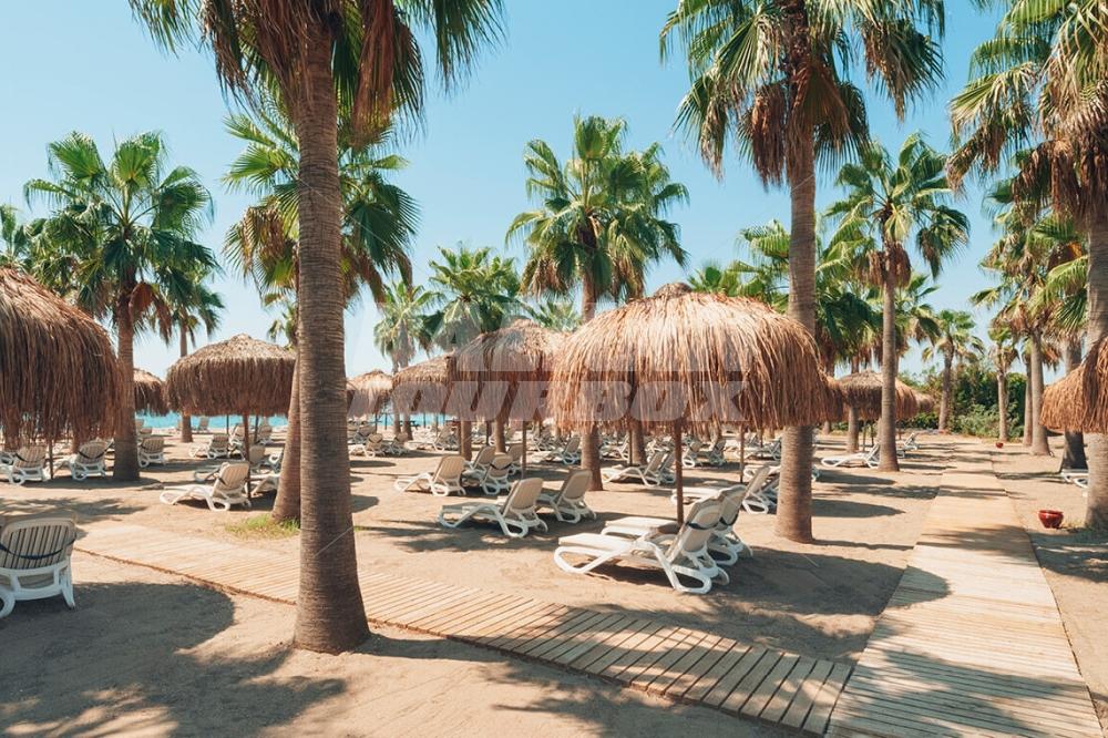 почивка в Selectum Family Resort - ex. Letoonia Golf