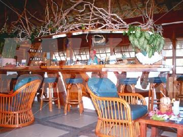 holiday in Kia Ora